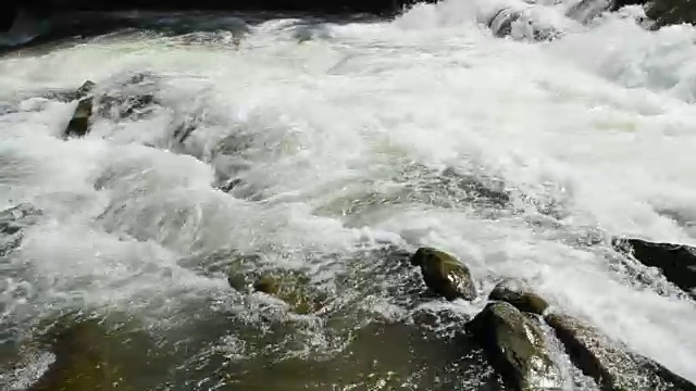 水和石头，河水视频素材