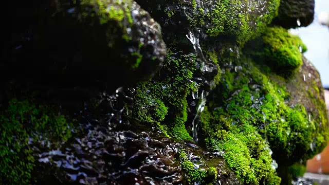 瀑布飞溅的慢镜头近景，泉水下落时，滴落在覆盖着绿色苔藓的岩石上视频素材