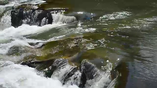 水和石头，河水视频素材