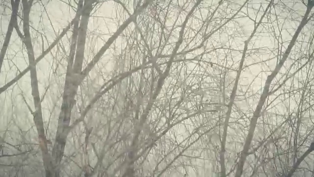 强烈的暴风雪1视频素材