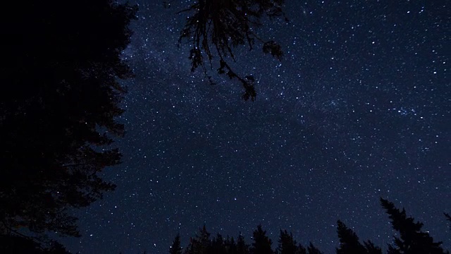 星星时间流逝天空旋转空间与森林前景天体摄影视频素材