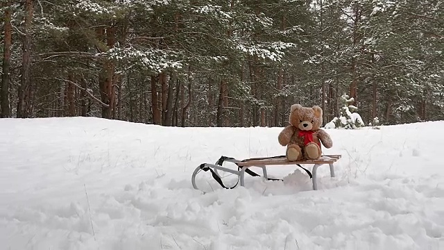 玩具熊躺在冬季公园的雪橇上视频素材