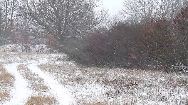 冬天有强降雪视频素材