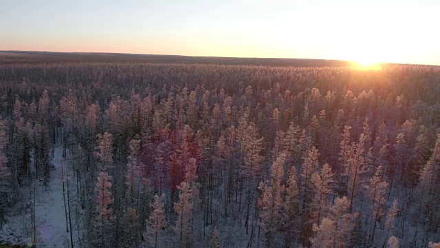 低空航拍飞过雪山森林在北方的早晨与太阳视频素材