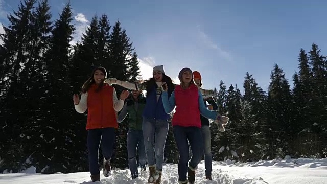 人们群雪林快乐微笑的年轻人朋友在户外冬季松林跑步视频素材