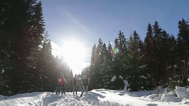 人们聚集在雪林的年轻朋友们在冬天的松林里玩雪球视频素材