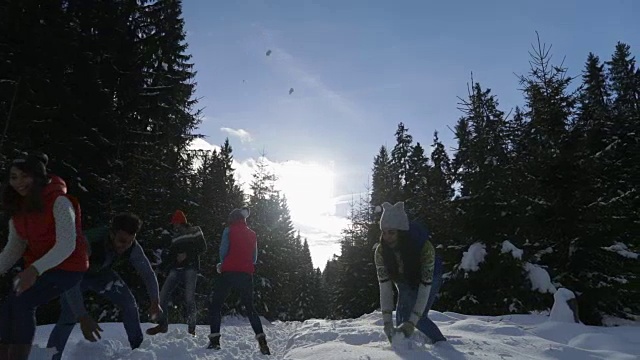 人们聚集在雪林的年轻朋友们在冬天的松林里玩雪球视频素材