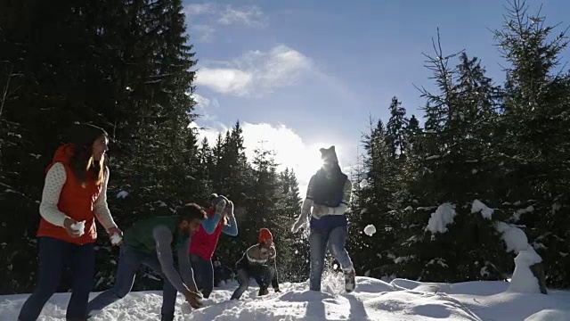 人们聚集在雪林的年轻朋友们在冬天的松林里玩雪球视频素材