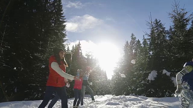 人们聚集在雪林的年轻朋友们在冬天的松林里玩雪球视频素材