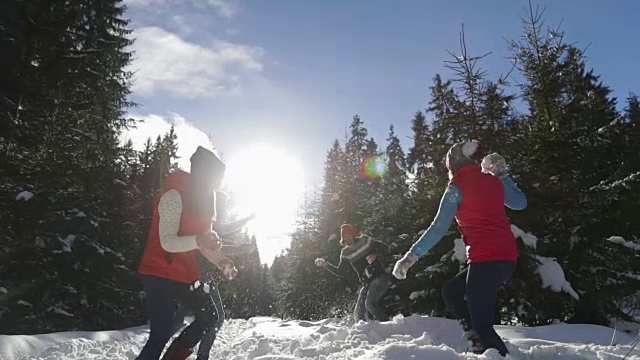 人们聚集在雪林的年轻朋友们在冬天的松林里玩雪球视频素材