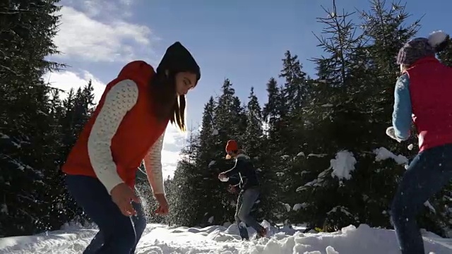 人们聚集在雪林的年轻朋友们在冬天的松林里玩雪球视频素材