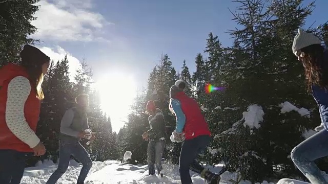 人们聚集在雪林的年轻朋友们在冬天的松林里玩雪球视频素材