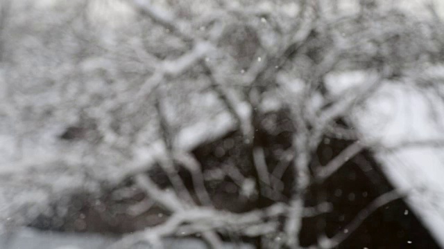 落着雪花的村与树视频素材