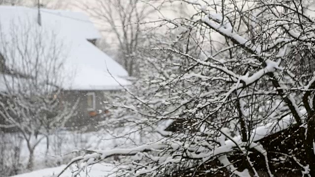 落着雪花的村与树视频素材