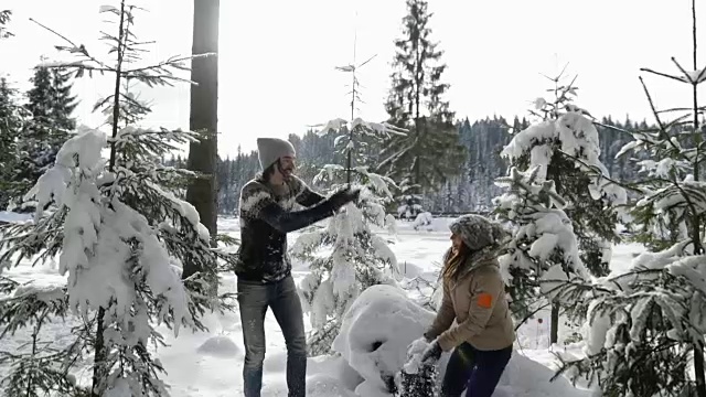 一对冬季森林行走的男人和女人扔雪在下雪的公园里玩视频素材