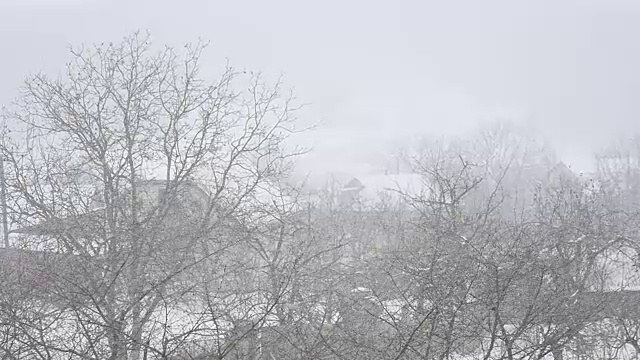 冬季暴风雪中飘落的雪花视频素材