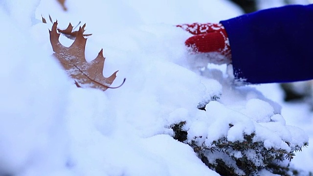 女性的手在雪地上滑动视频素材