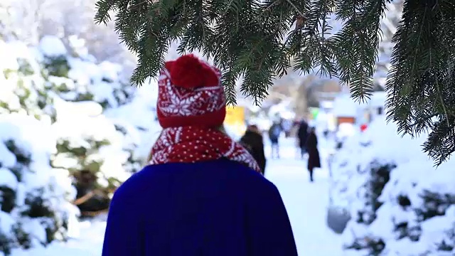 在冬季公园散步的女人的后视图视频素材