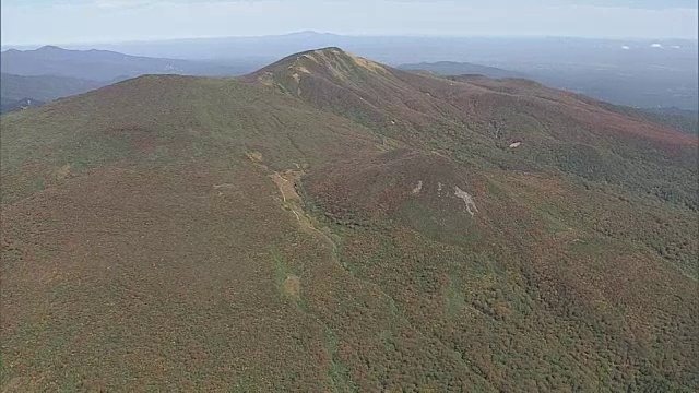 栗山的彩色叶子视频素材