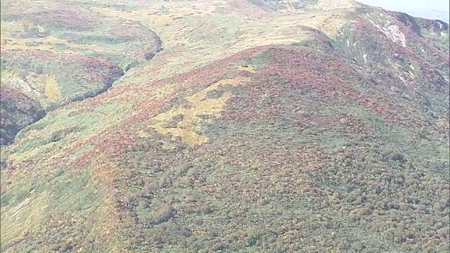 栗山的彩色叶子视频素材