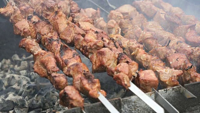 用烤肉串在烤架上烤猪肉串视频素材