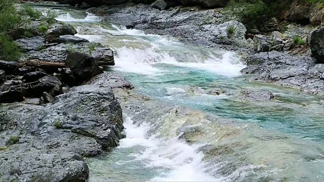 里约热内卢Ara river Bujaruelo在西班牙比利伦斯山谷的山谷里视频素材