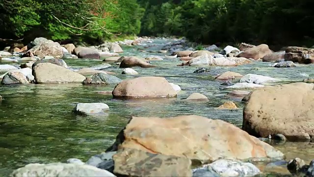 里约热内卢Ara river Bujaruelo在西班牙比利伦斯山谷的山谷里视频素材