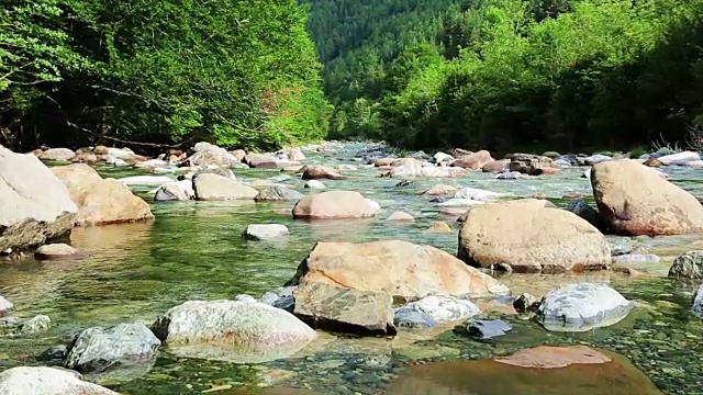 里约热内卢Ara river Bujaruelo在西班牙比利伦斯山谷的山谷里视频素材