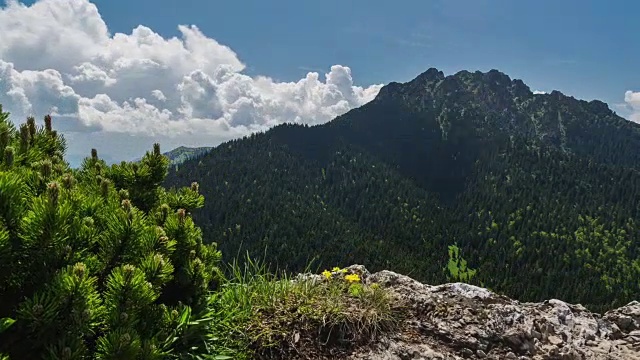 山脉中的云层对流时间流逝。摄影从岩石、灌木丛和花丛中探出头来视频素材