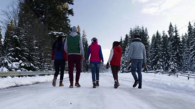 一群人在冰雪森林里散步微笑的朋友在冰雪公园里聊天视频素材