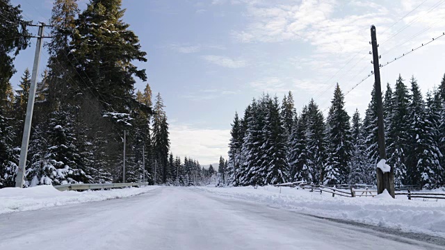 一群人在冰雪森林里散步，朋友们在冰雪公园里聊天视频素材