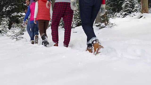 一群人冬季雪森林散步的朋友路径在雪山公园后视图视频素材