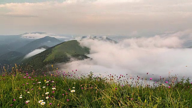 傍晚云层在山谷时间流逝中移动。日落，草地上的花朵。视频素材