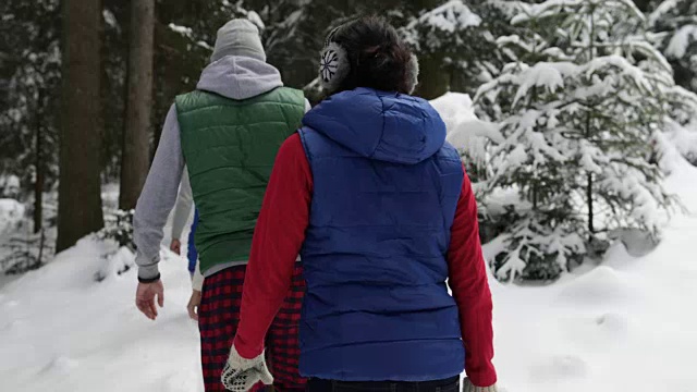 一群人在冰雪森林里散步微笑的朋友在冰雪公园里聊天视频素材