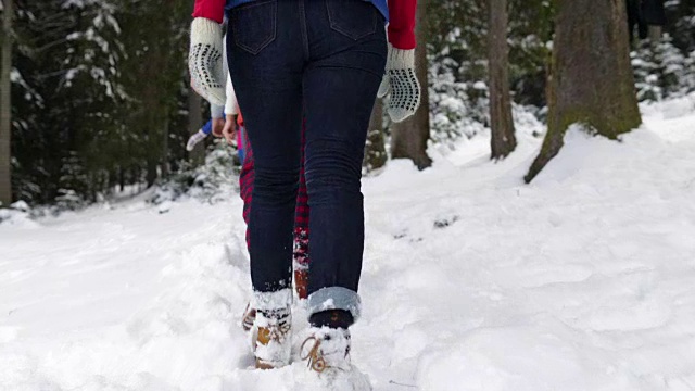 雪山公园里冬雪森林散步的一群人视频素材