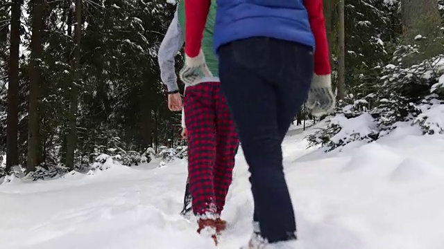 一群人在冰雪森林里散步微笑的朋友在冰雪公园里聊天视频素材