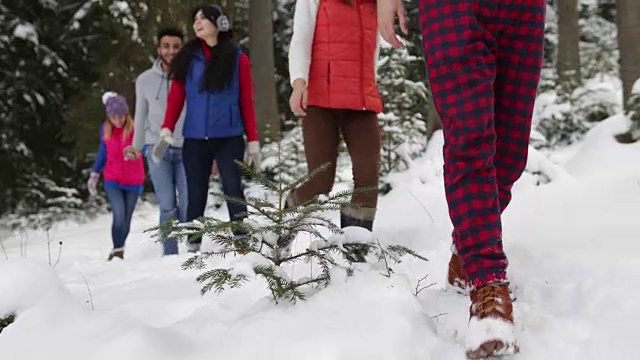 一群人在冰雪森林里散步微笑的朋友在冰雪公园里聊天视频素材