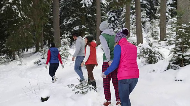 雪山公园里冬雪森林散步的一群人视频素材