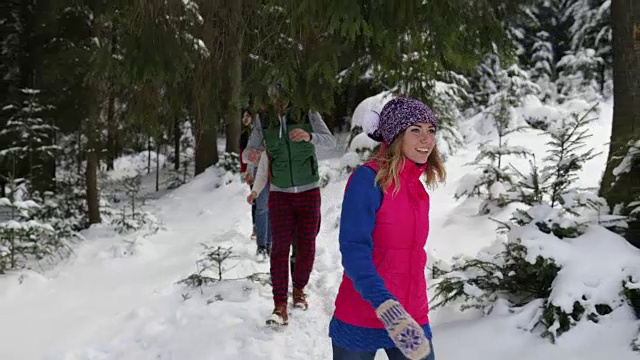 一群人冬季雪森林散步的朋友路径在雪山公园后视图视频素材