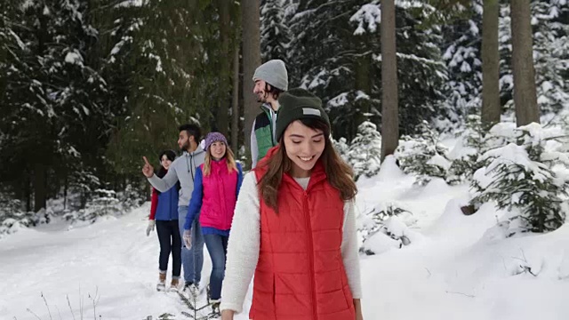 一群人在冰雪森林里散步微笑的朋友在冰雪公园里聊天视频素材