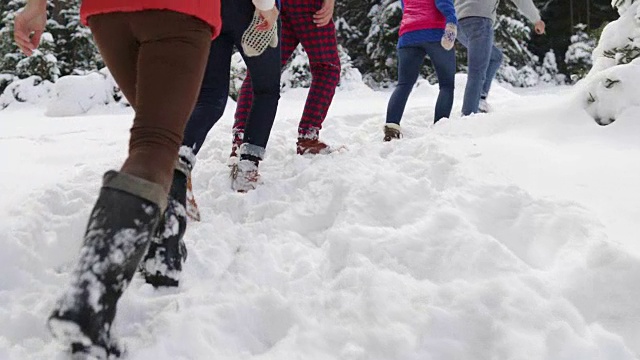 一群人在冰雪森林里散步微笑的朋友在冰雪公园里聊天视频素材