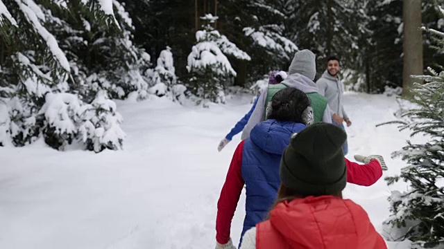 雪山公园里冬雪森林散步的一群人视频素材