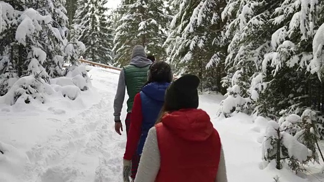 一群人冬季雪森林散步的朋友路径在雪山公园后视图视频素材