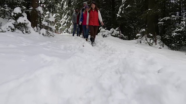 一群人冬季雪森林散步的朋友路径在雪山公园后视图视频素材