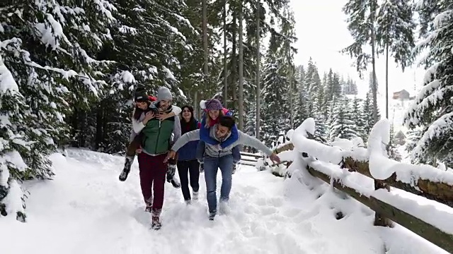 一群人在冰雪森林里散步微笑的朋友在冰雪公园里聊天视频素材