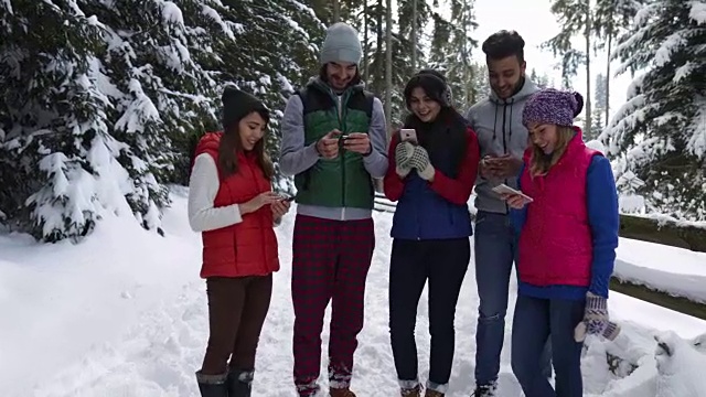 一群人在冰雪森林里散步微笑的朋友在雪园里自拍视频素材