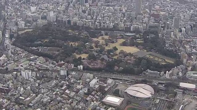 空中，新宿御苑春天，东京，日本视频素材