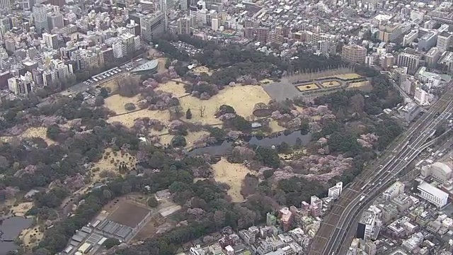 空中，新宿御苑春天，东京，日本视频素材