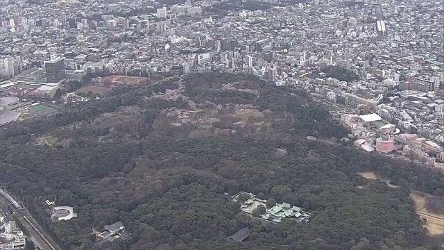 空中，春天代代木公园，东京，日本视频素材