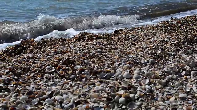 海滩视频素材